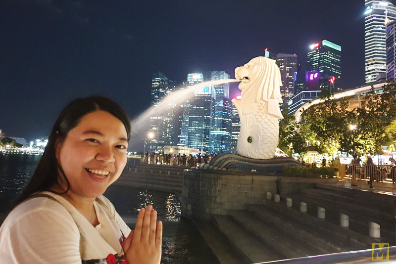 เที่ยวสิงคโปร์ 4 วัน 3 คืน 2019 ด้วยตัวเอง ช่วงซ้อมวันชาติ